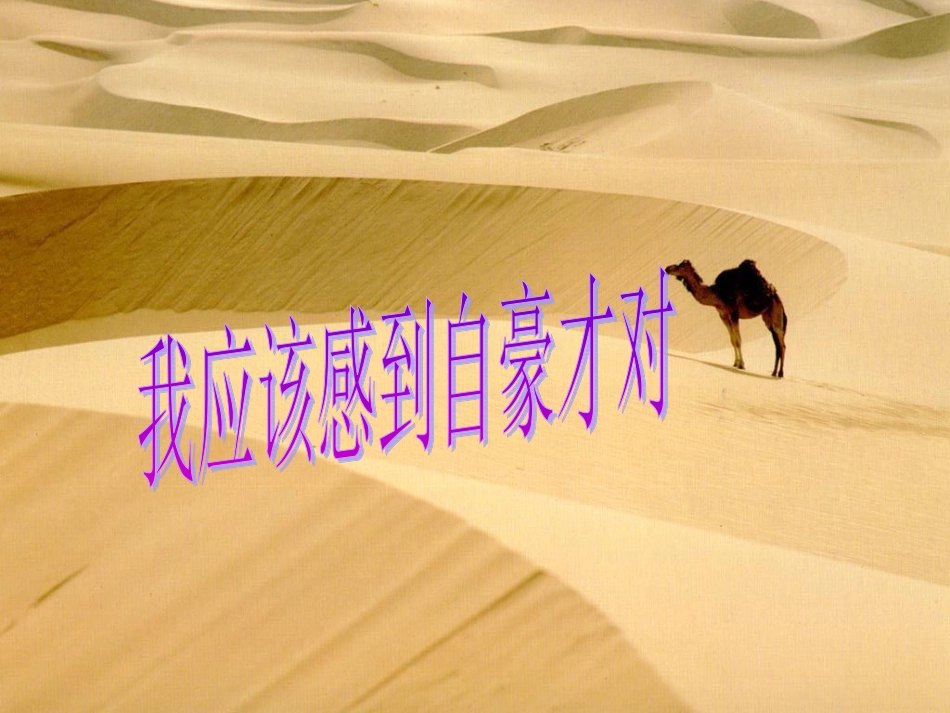 《我应该感到自豪才对》课件_第1页