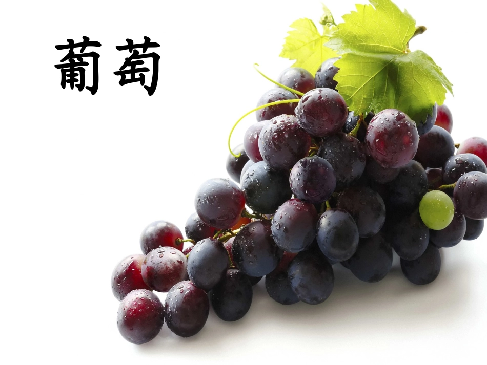 酸的和甜的课件_第1页