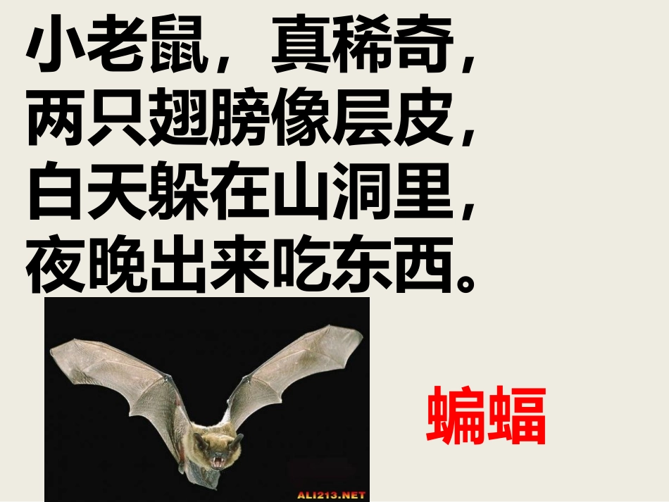 上夜班的动物_第2页