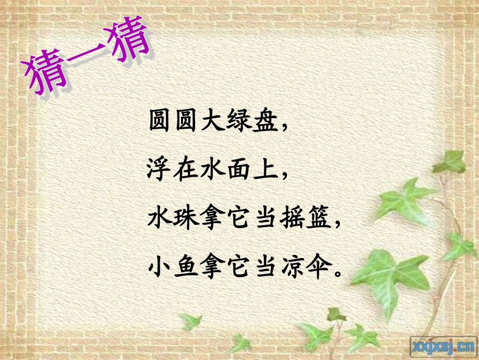 人教版语文一年级上册《荷叶圆圆》PPT_第3页