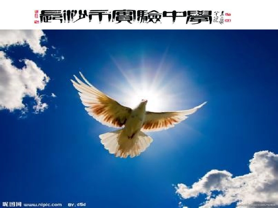 教育技术讲课课件_第1页