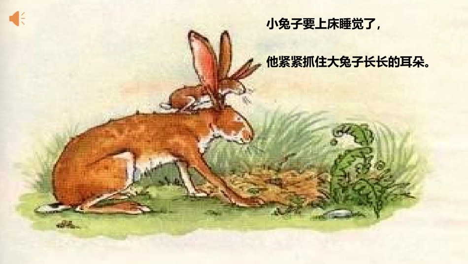 -《猜猜我有多爱你》_第3页