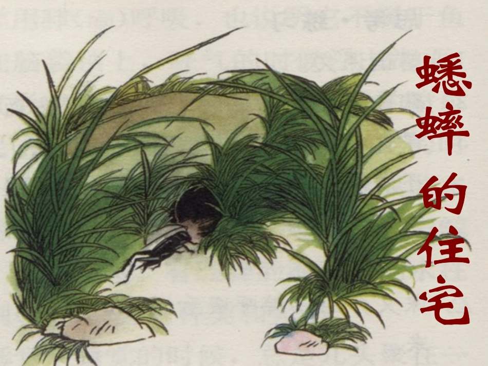 《蟋蟀的住宅》课件2_第2页