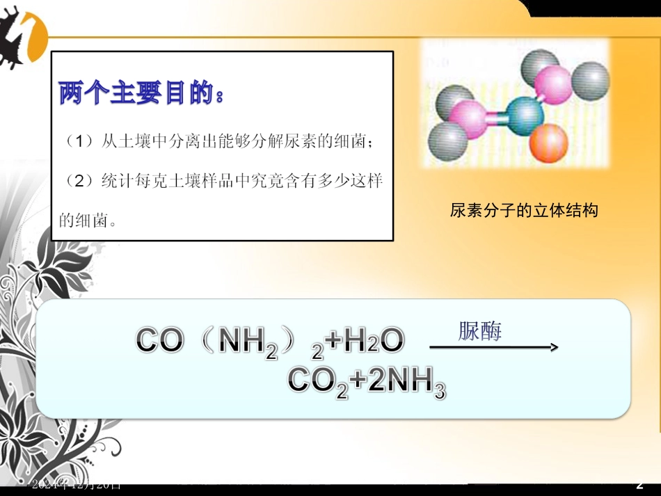 土壤中分解尿素的细菌的分离和计数课件精校版_第2页