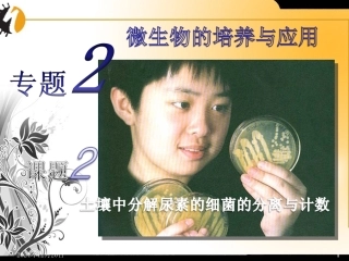 土壤中分解尿素的细菌的分离和计数课件精校版