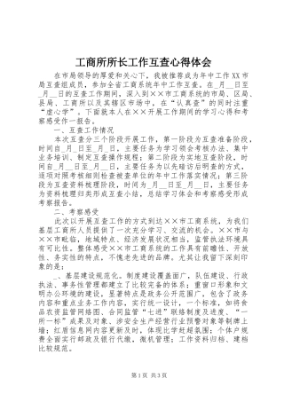 工商所所长工作互查心得体会