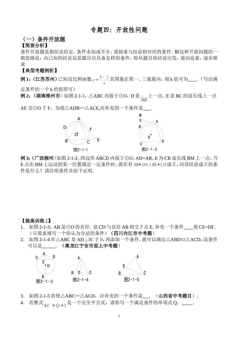 专题六---开放性问题_第1页