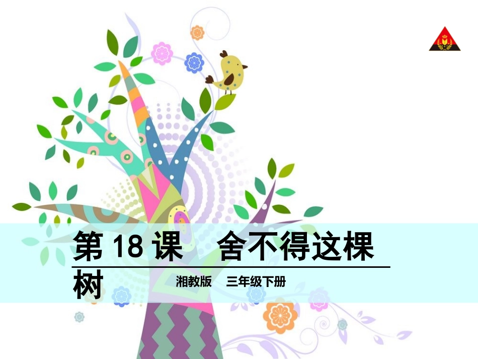 舍不得这棵树_第1页