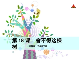 舍不得这棵树
