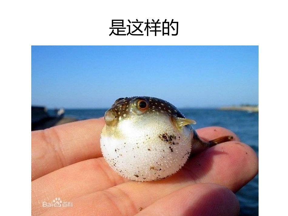 阅读-带刺的气球 (2)_第3页