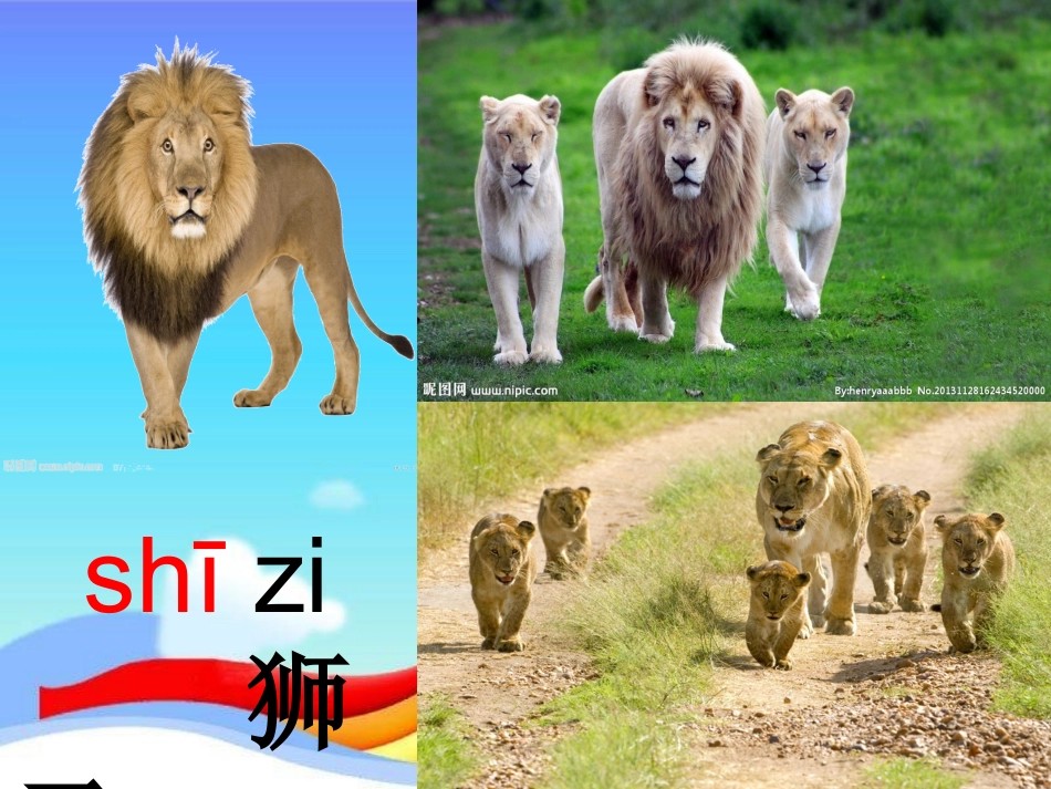 苏教版二年级下册语文识字6课件_第3页