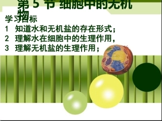 生物必修一25细胞中的无机物