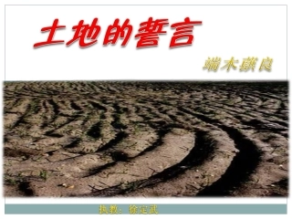 《土地的誓言》