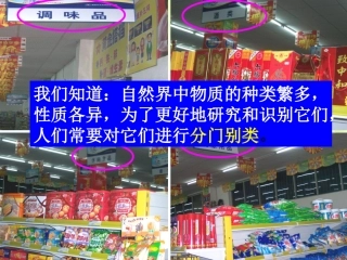 第4节物质的分类 (2)