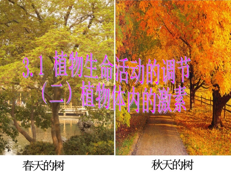 植物生命活动的调节 (2)_第1页