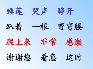 《夏夜多美》课件9()