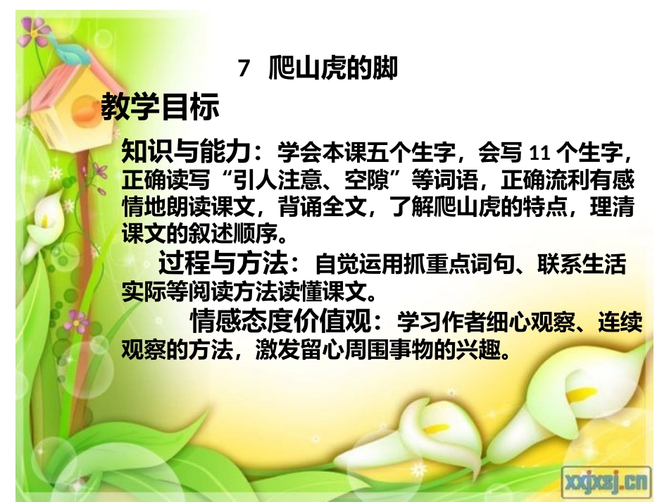 爬山虎的脚1_第3页