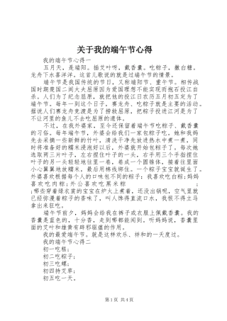 关于我的端午节心得