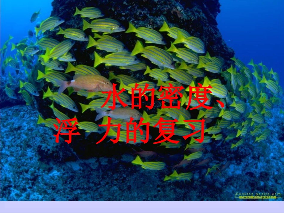 密度、浮力的复习_第1页
