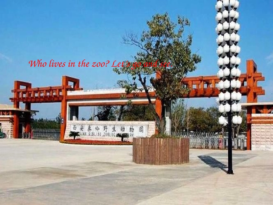 公王初中王妮妮人教版七年级下册unit5whydoyoulikepandasA1a_第3页