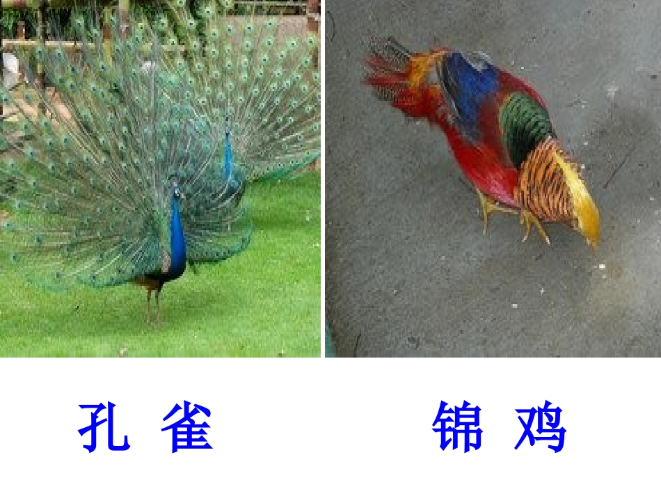 人教版语文二上《识字7》PPT课件(1)_第2页