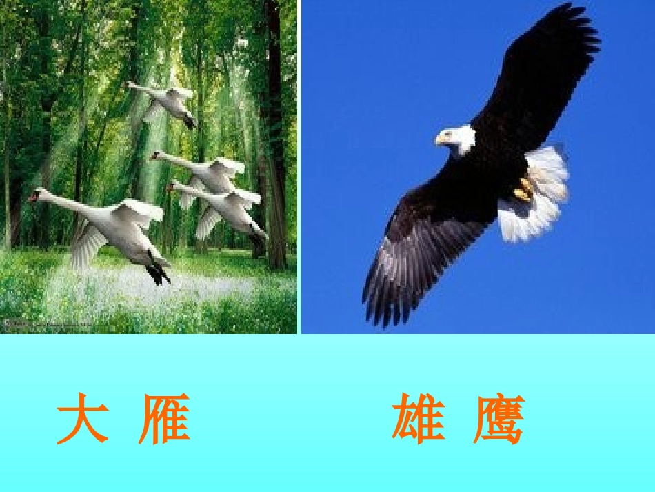 人教版语文二上《识字7》PPT课件(1)_第3页