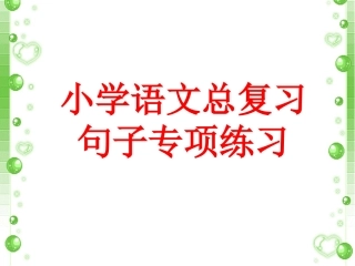 小学语文总复习句子专项练习