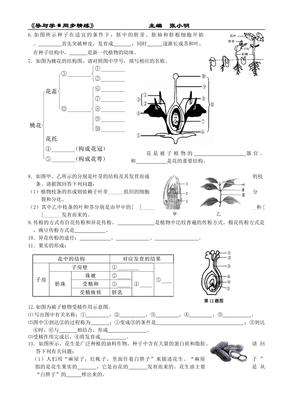 《导与学·同步精练》：七下科学期末专题复习2_第2页