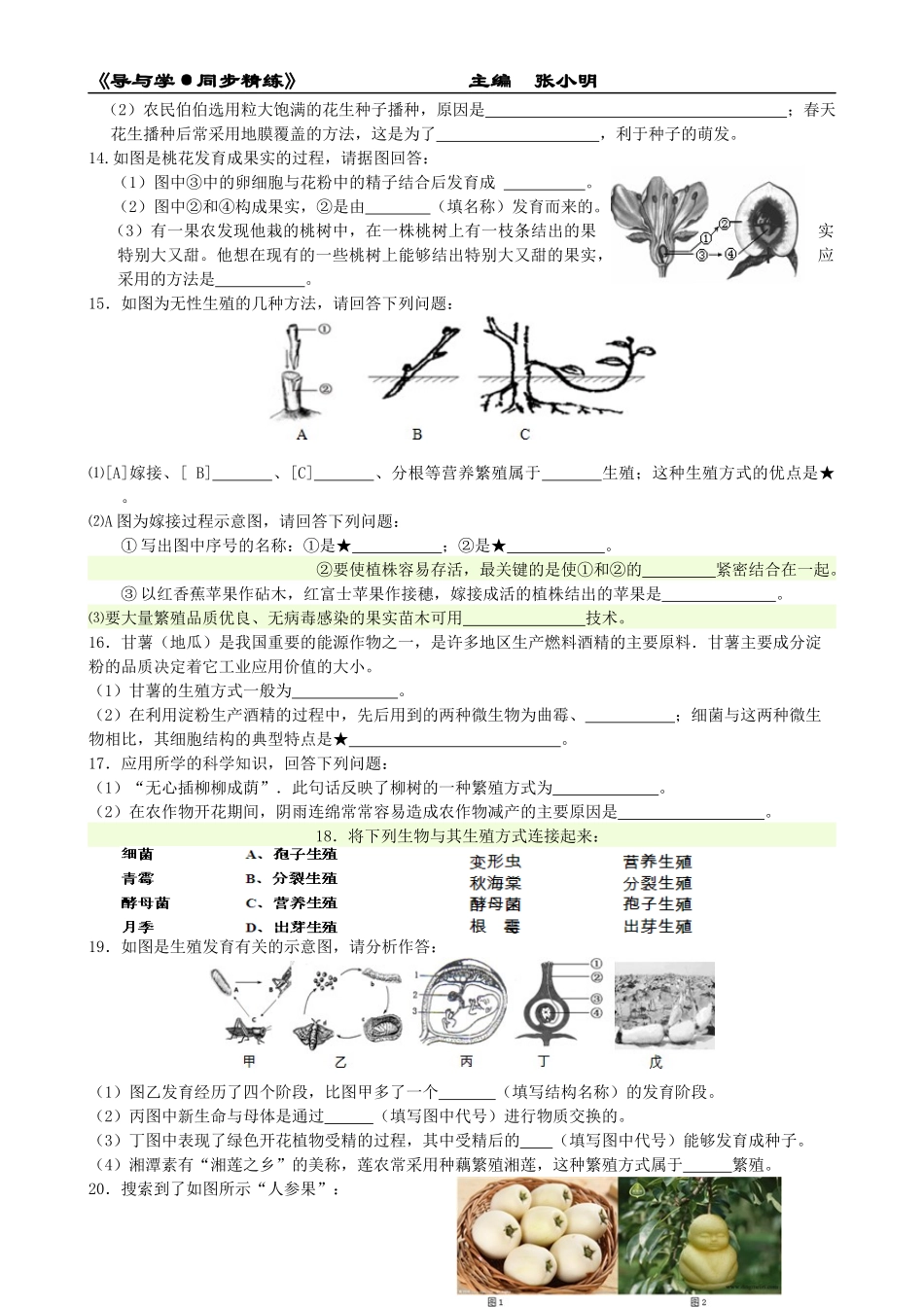《导与学·同步精练》：七下科学期末专题复习2_第3页