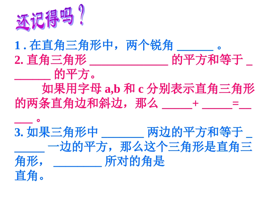 直角三角形复习_第2页