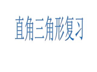 直角三角形复习