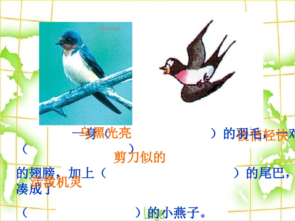 燕子第二课时_第2页