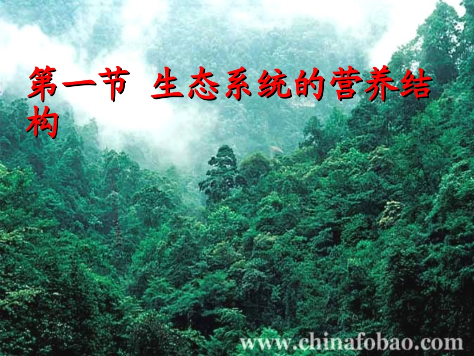 第一节生态系统的营养结构（理）_第1页