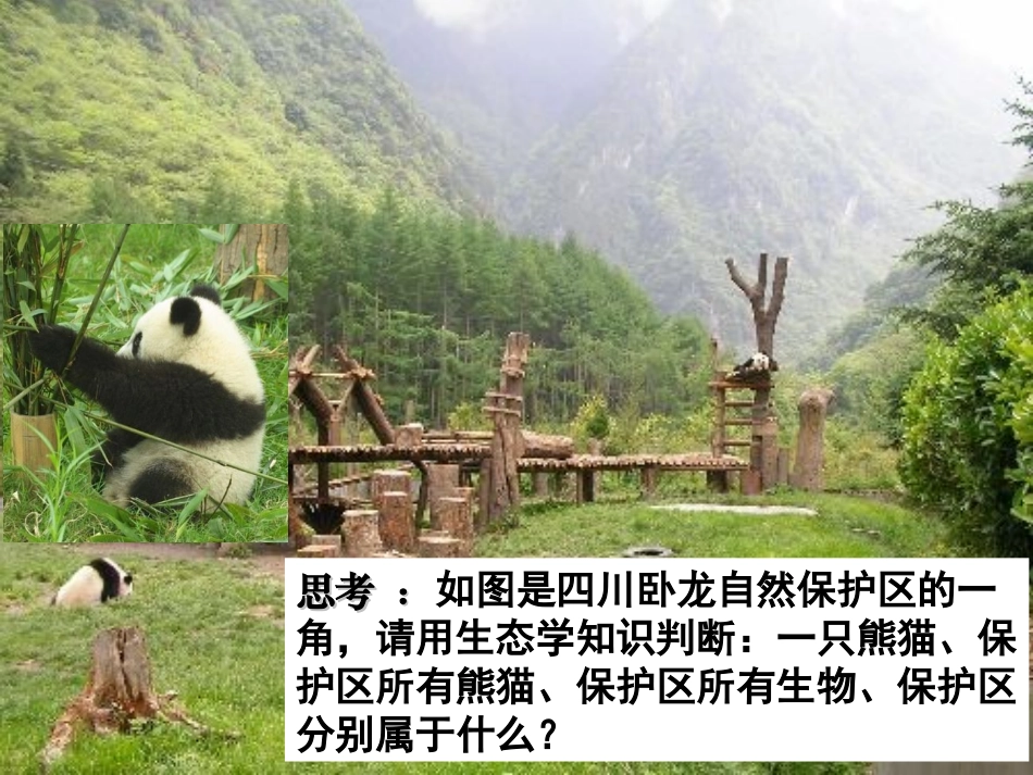 第一节生态系统的营养结构（理）_第2页