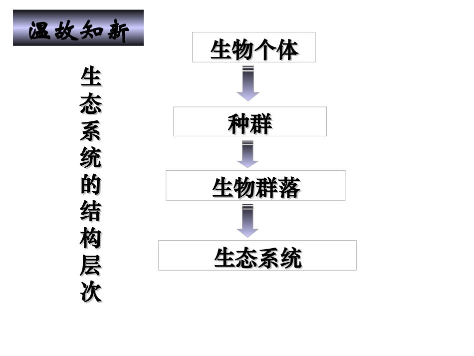 第一节生态系统的营养结构（理）_第3页