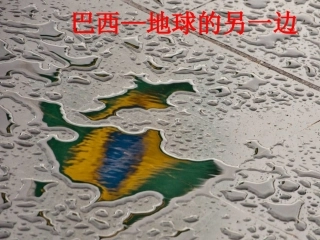 《第六节巴西》课件3