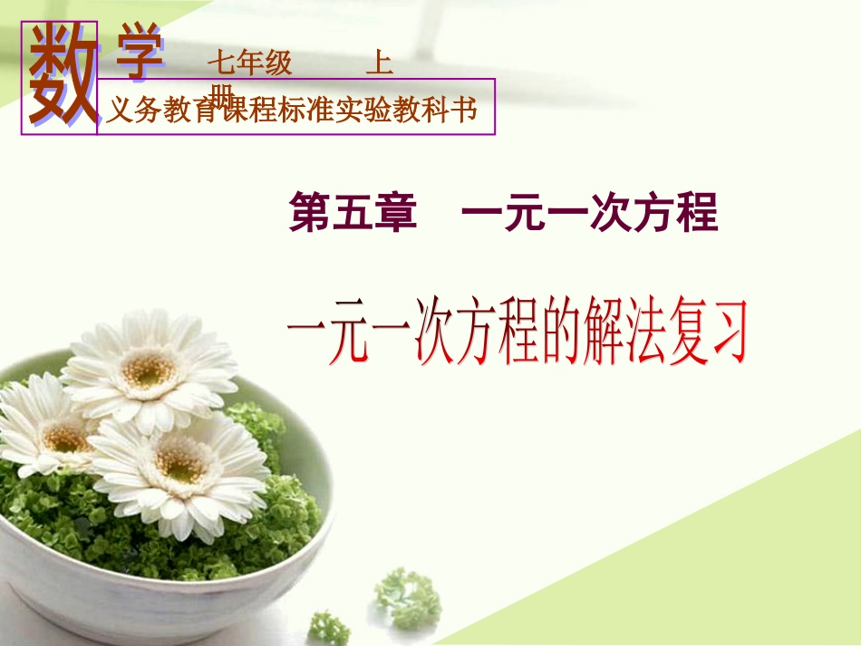 一元一次方程解法复习 (2)_第1页