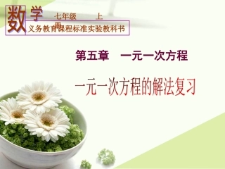一元一次方程解法复习 (2)