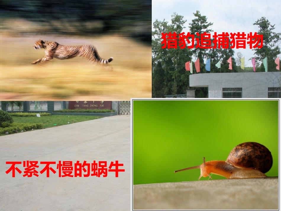 初二物理上册速度课件_第2页