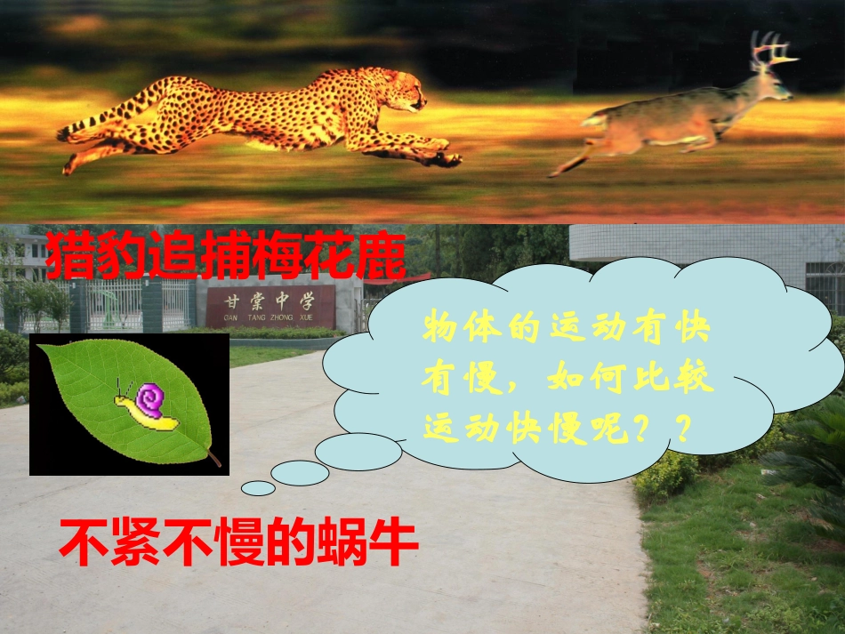 初二物理上册速度课件_第3页