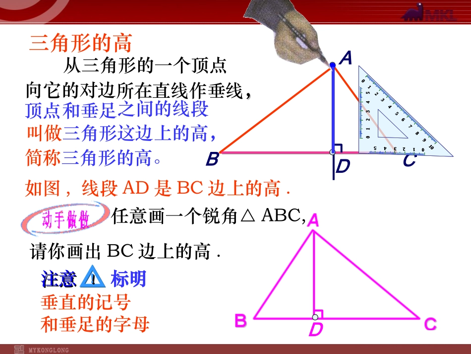 三角形的高中线角平分线_第3页