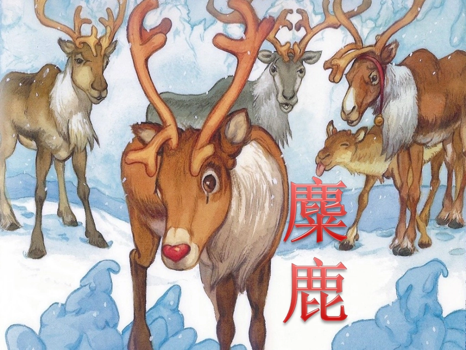 《麋鹿》教学课件——张华_第1页