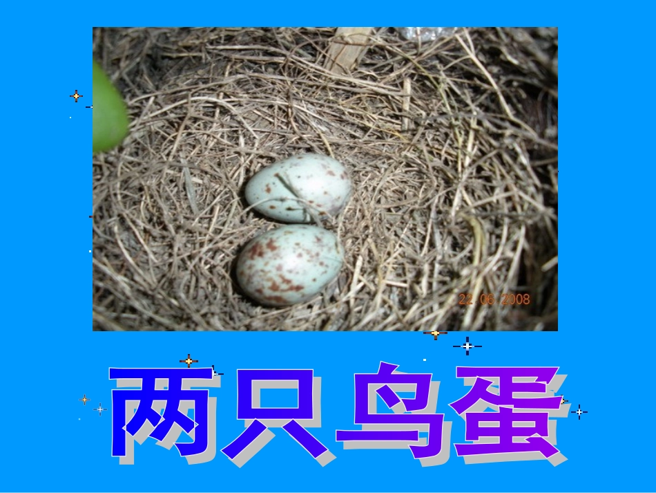 《两只鸟蛋》课件_第1页