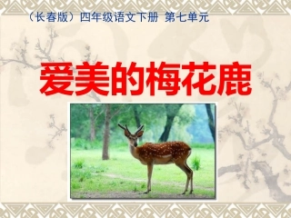 爱美的梅花鹿课件（改）2