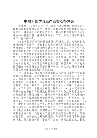 中层干部学习三严三实心得体会