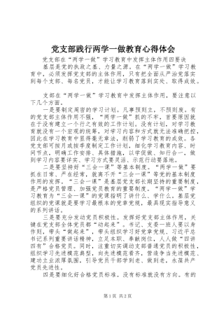 党支部践行两学一做教育心得体会