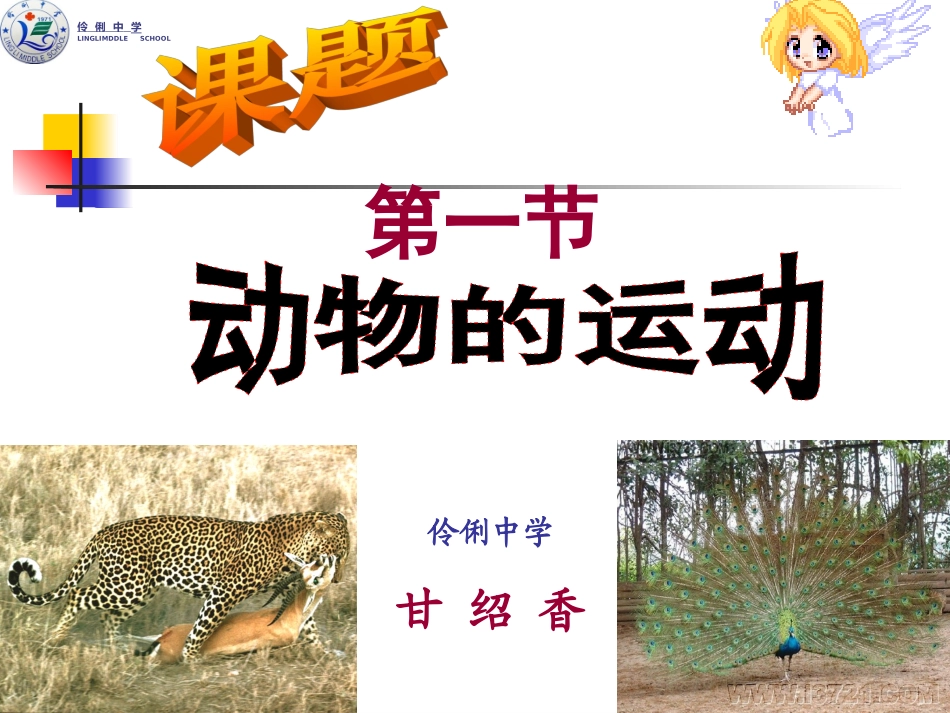 伶俐中学甘绍香：《动物的运动》教学课件_第1页