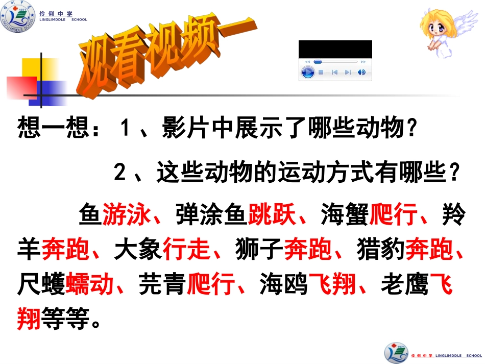 伶俐中学甘绍香：《动物的运动》教学课件_第3页