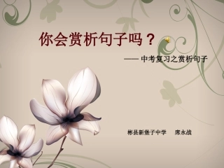 你会赏析句子吗？