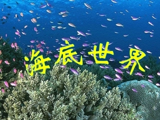 海底世界 (2)